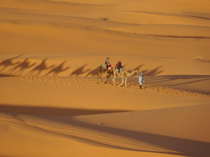 Camel Ride Desert Morocco, Auberge Café Du Sud