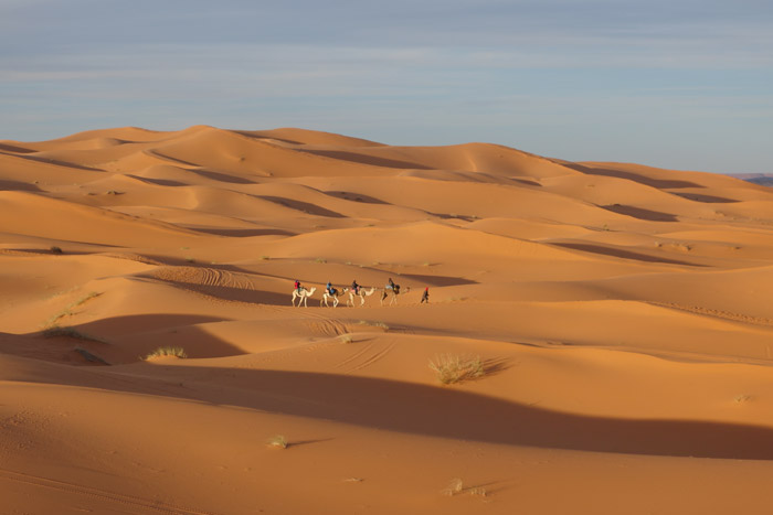 Camel Ride Morocco, Auberge Café Du Sud