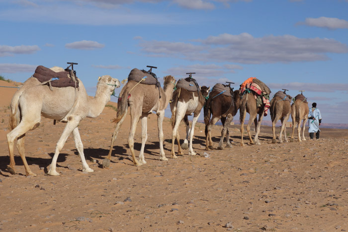 Morocco Trek Merzouga, Auberge Café Du Sud