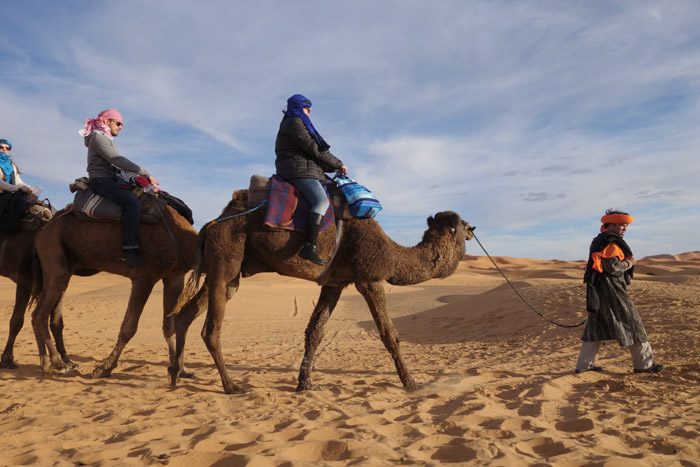 Camel Trekking Merzouga, Auberge Café Du Sud