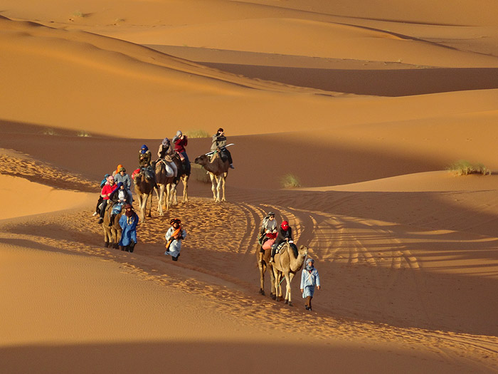Morocco Camel Trek, Auberge Café du Sud