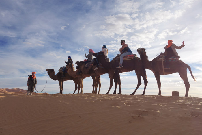 Morocco Camel Trekking, Auberge Café Du Sud