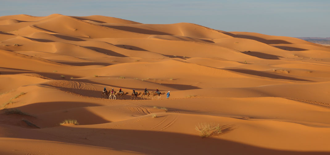 Excursión en camello por el desierto
