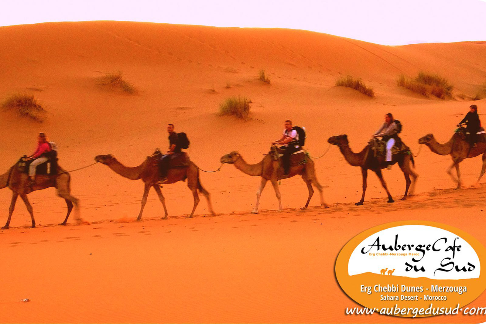 CAMEL TREKKING